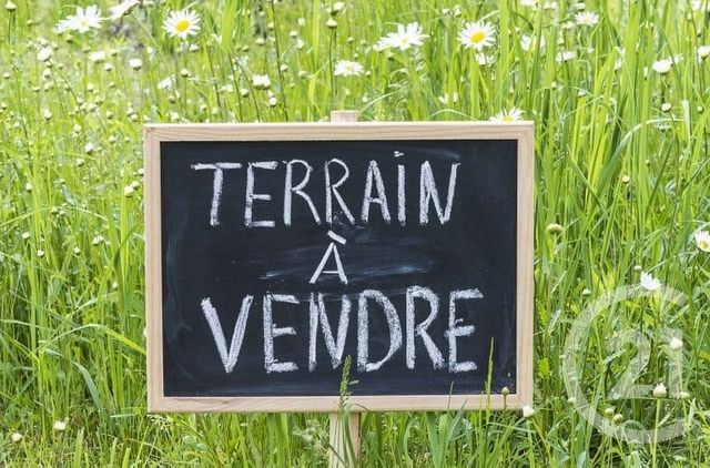 Afficher la photo en grand terrain à vendre - 288.0 m2 - LIMOURS - 91 - ILE-DE-FRANCE - Century 21 Ld Immobilier